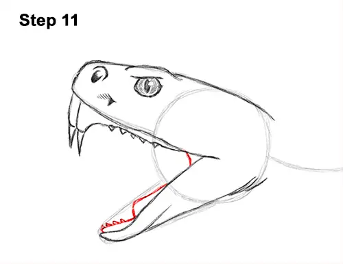 Draw Diamondback Rattlesnake 11