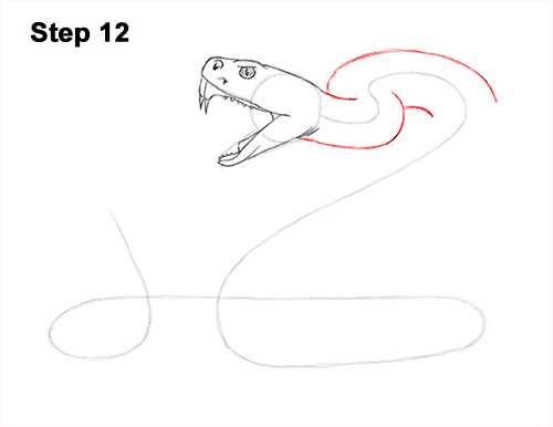 Draw Diamondback Rattlesnake 12
