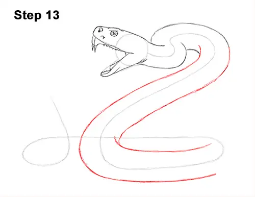 Draw Diamondback Rattlesnake 13