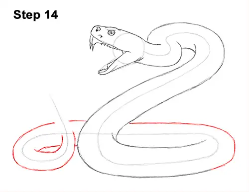 Draw Diamondback Rattlesnake 14
