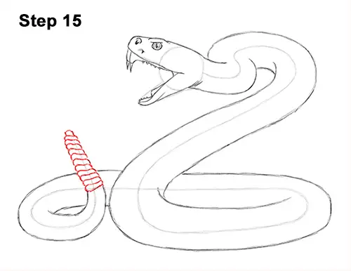 Draw Diamondback Rattlesnake 15