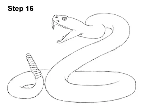 Draw Diamondback Rattlesnake 16