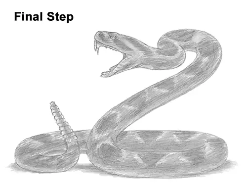 Draw Diamondback Rattlesnake Last