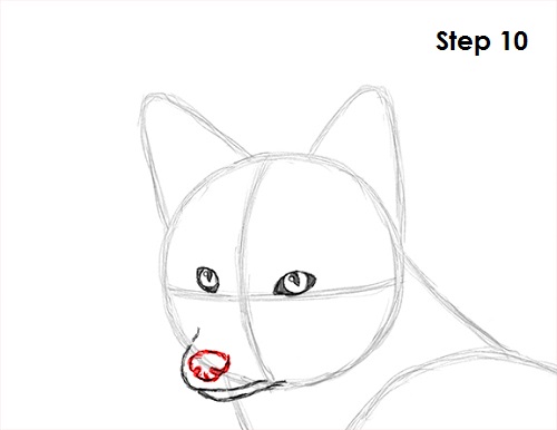 Draw Red Fox 10