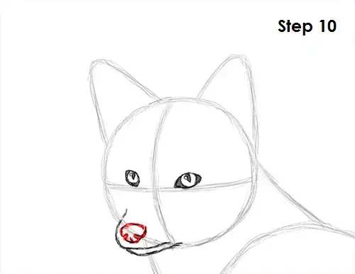 How To Draw A Fox Red Fox Video Step By Step Pictures