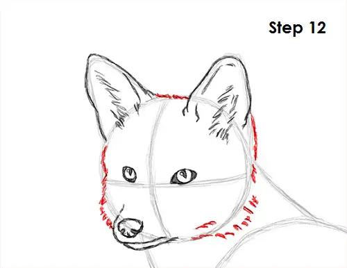 Draw Red Fox 12