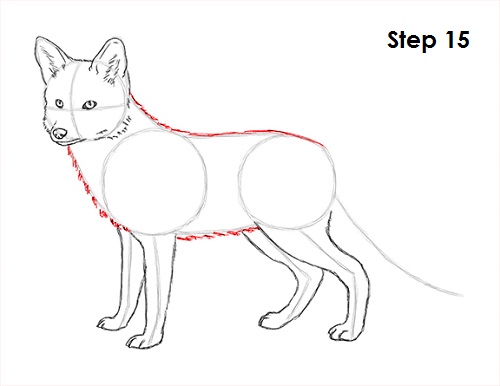 How to Draw A Fox – A Step-by-Step Guide