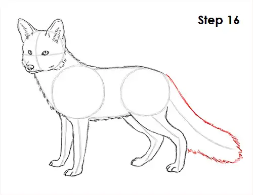 Draw Red Fox 16