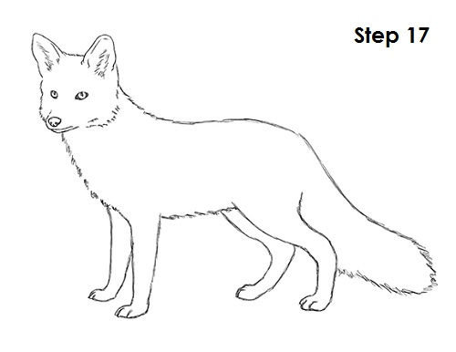 FREE 8+ Fox Drawings in AI