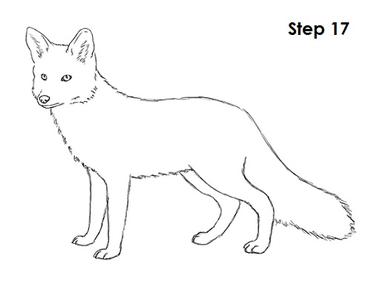 easy drawings of foxes