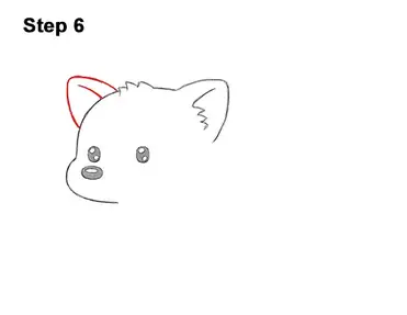 How To Draw A Red Panda Cartoon Video Step By Step Pictures