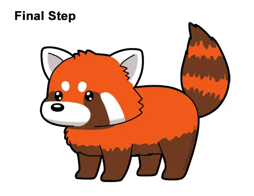 How to Draw a Cute Cartoon Red Panda Chibi Kawaii