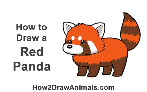 How To Draw A Red Panda Cartoon Video Step By Step Pictures