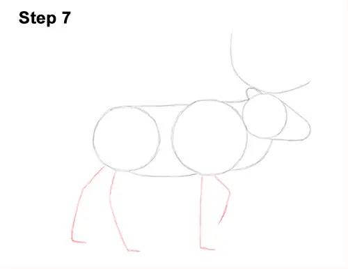 Draw Reindeer Caribou 7