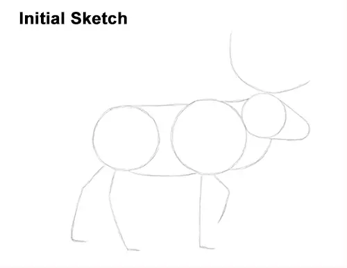 Draw Reindeer Caribou Sketch