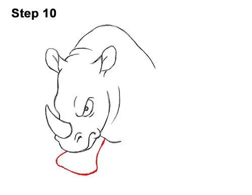 How to Draw Angry Charging Cartoon Rhino Rhinoceros 10