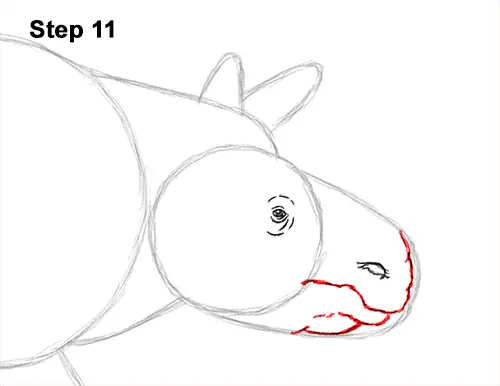 How to Draw an Indian Greater One Horned Rhinoceros 11