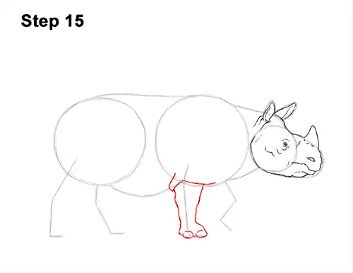 How to Draw an Indian Greater One Horned Rhinoceros 15