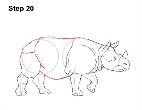 How to Draw an Indian Greater One Horned Rhinoceros 20