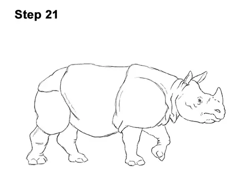 How to Draw an Indian Greater One Horned Rhinoceros 21