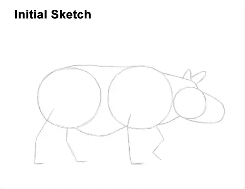 How to Draw an Indian Greater One Horned Rhinoceros Guide Lines