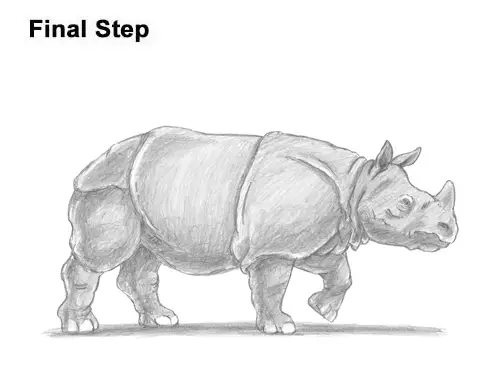 How to Draw an Indian Greater One Horned Rhinoceros