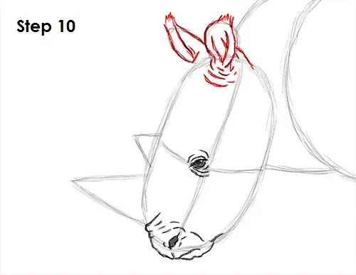 Draw Rhinoceros 10