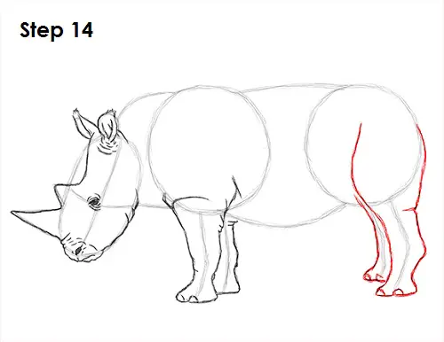 Draw Rhinoceros 14