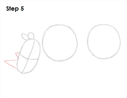Draw Rhinoceros 5