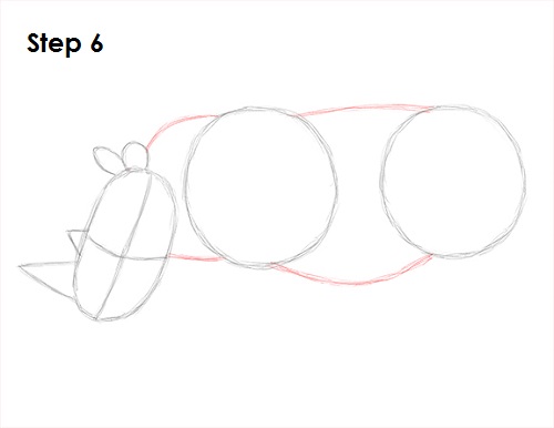 Draw Rhinoceros 6