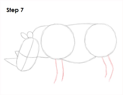 Draw Rhinoceros 7