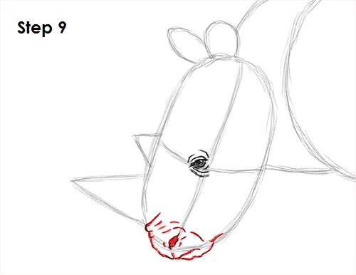 Draw Rhinoceros 9