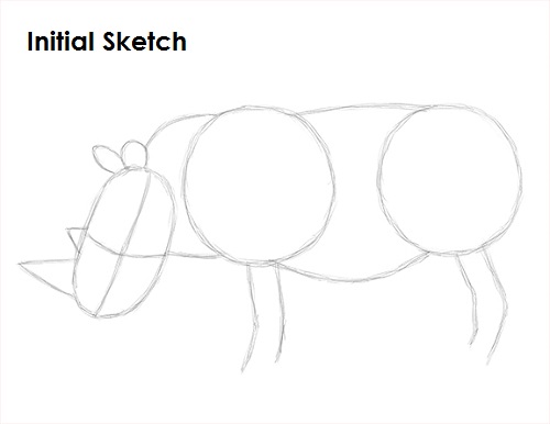 Draw Rhinoceros Sketch