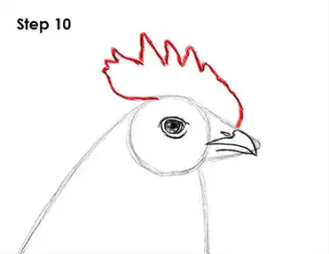 How To Draw A Rooster