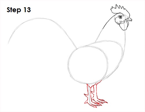 Draw Rooster 13
