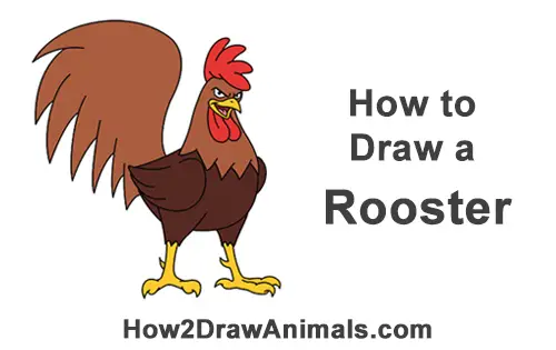 How to Draw Tough Cool Angry Brown Cartoon Rooster