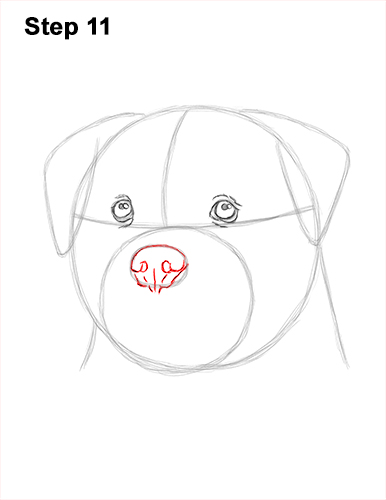 How to Draw a Rottweiler Dog Head Portrait Face 11