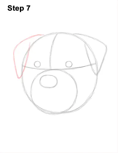 How to Draw a Rottweiler Dog Head Portrait Face 7