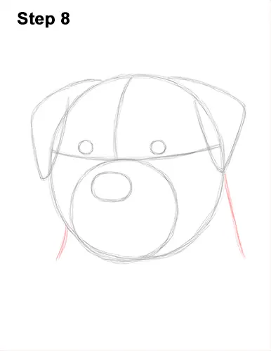 How to Draw a Rottweiler Dog Head Portrait Face 8