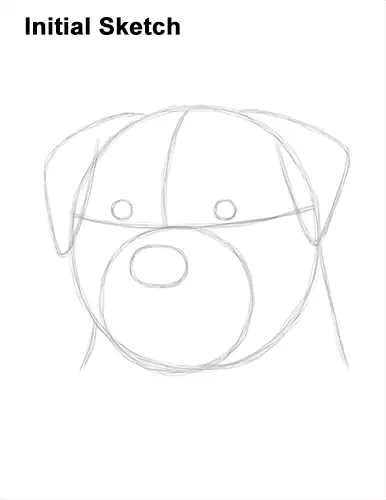 How to Draw a Rottweiler Dog Head Portrait Face Guide Lines