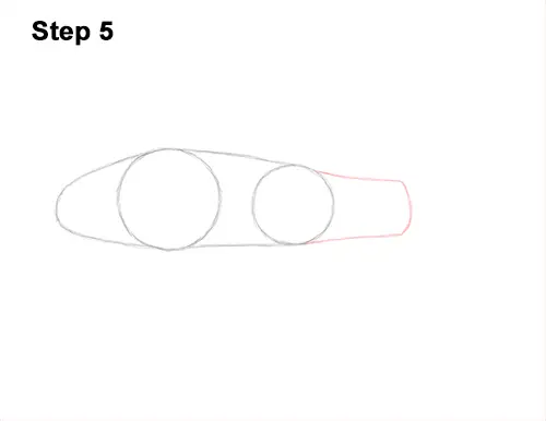 How to Draw a Royal Gramma Fairy Basslet Fish 5