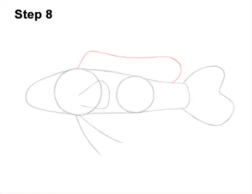 How to Draw a Royal Gramma Fairy Basslet Fish 8