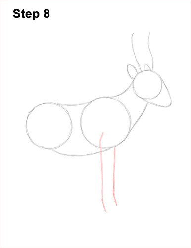 How to Draw a Male Saiga Antelope 8