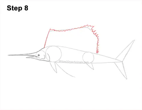 How to Draw an Atlantic Sailfish Side View 8