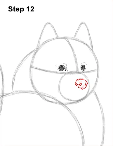 How to Draw a White Samoyed Puppy Dog 12