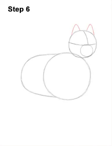 How to Draw a White Samoyed Puppy Dog 6