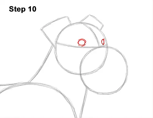 How to Draw a Miniature Schnauzer Puppy Dog 10