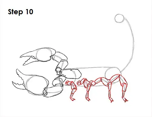 Draw Scorpion 10