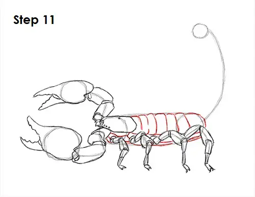 Draw Scorpion 11