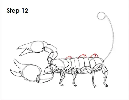 Draw Scorpion 12